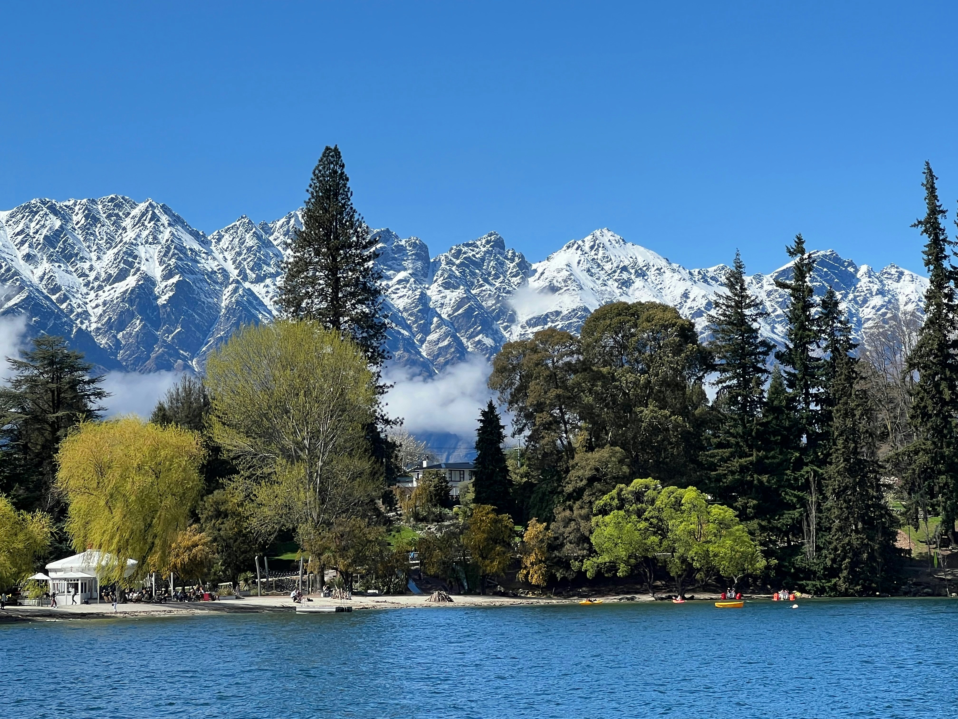Queenstown mountains and forest